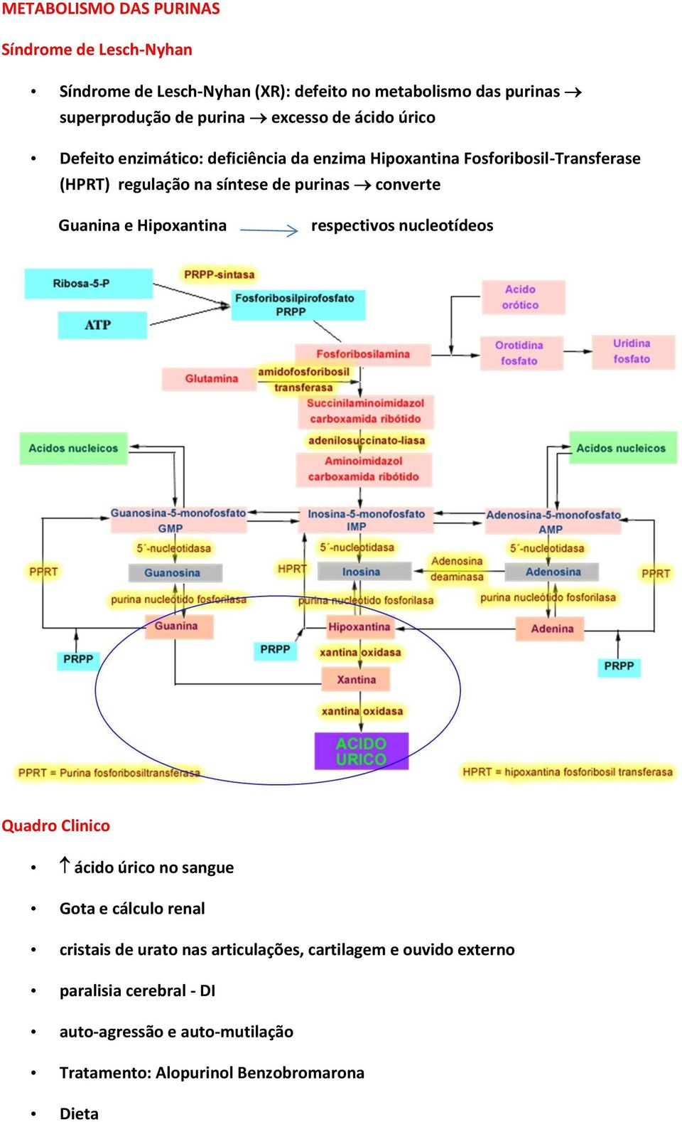 purinas converte Guanina e Hipoxantina respectivos nucleotídeos Quadro Clinico ácido úrico no sangue Gota e cálculo renal cristais de