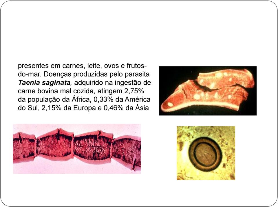 na ingestão de carne bovina mal cozida, atingem 2,75% da