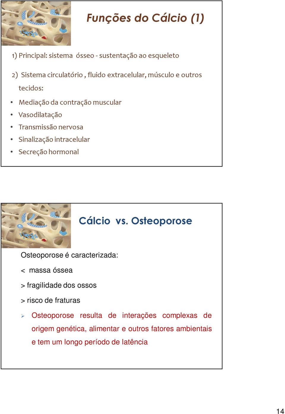 hormonal Cálcio vs.