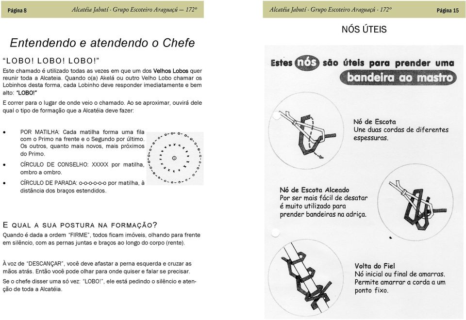 Ao se aproximar, ouvirá dele qual o tipo de formação que a Alcatéia deve fazer: POR MATILHA: Cada matilha forma uma fila com o Primo na frente e o Segundo por último.