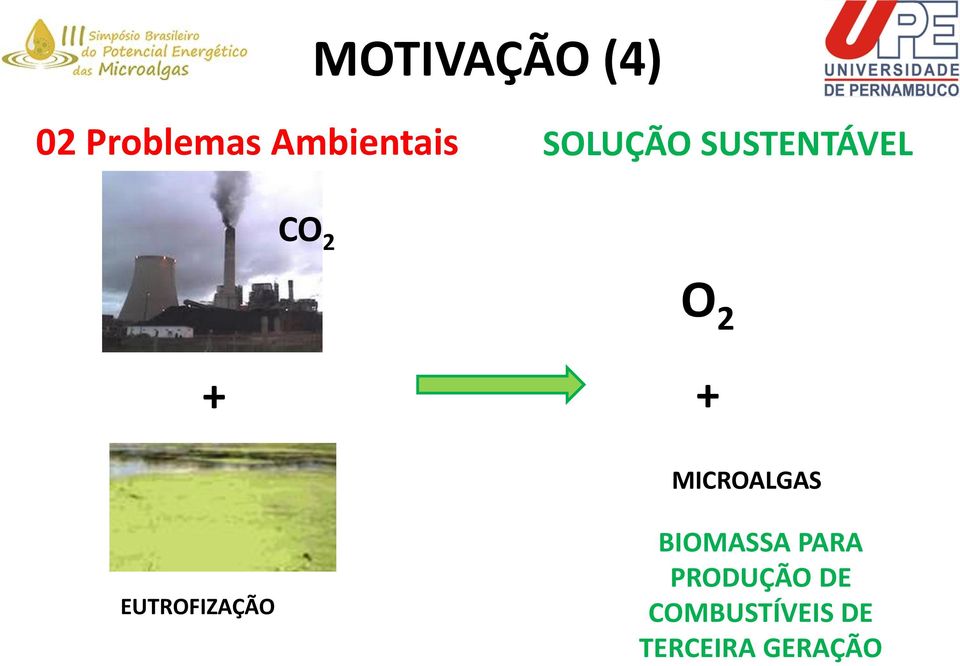 MICROALGAS EUTROFIZAÇÃO BIOMASSA PARA