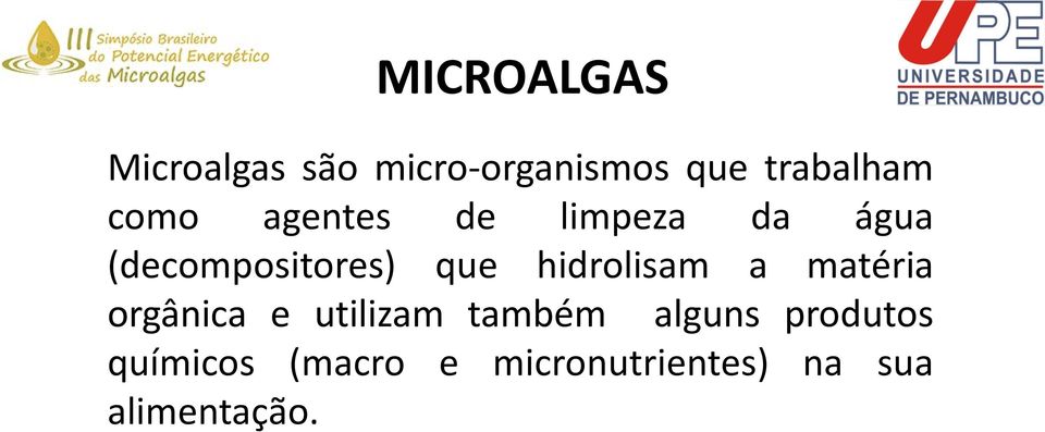 hidrolisam a matéria orgânica e utilizam também alguns