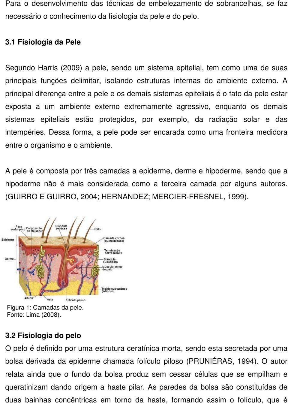 A principal diferença entre a pele e os demais sistemas epiteliais é o fato da pele estar exposta a um ambiente externo extremamente agressivo, enquanto os demais sistemas epiteliais estão