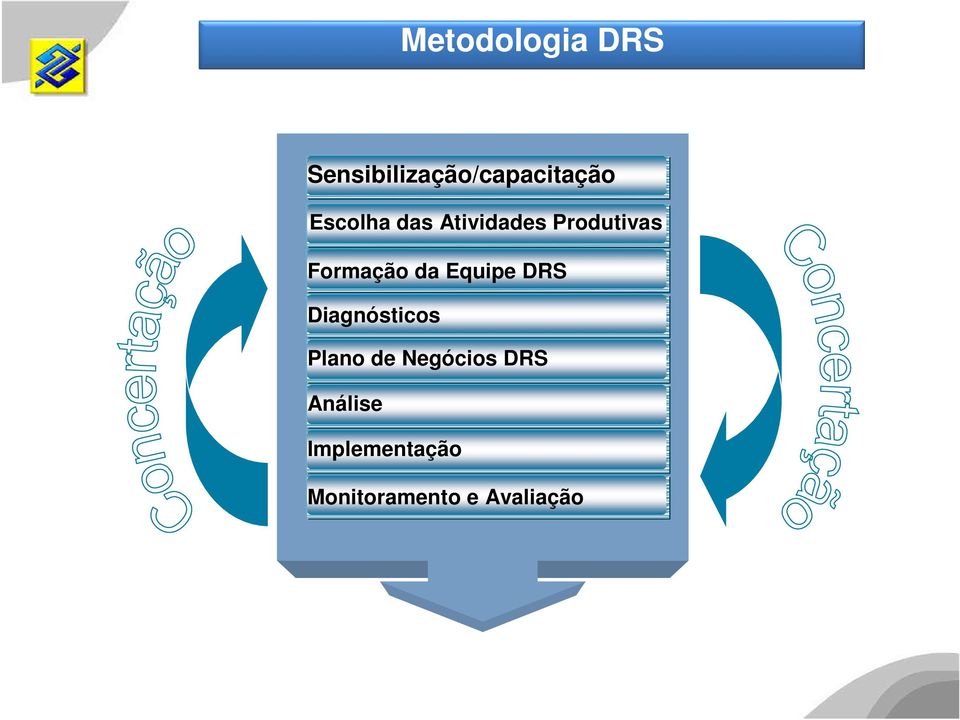 Equipe DRS Diagnósticos Plano de Negócios DRS