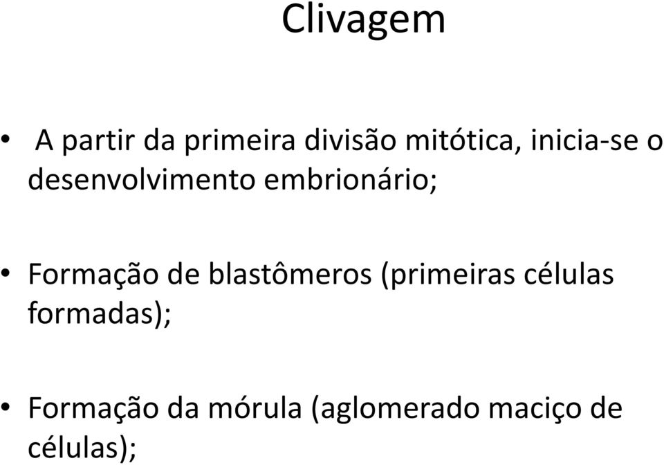 Formação de blastômeros (primeiras células