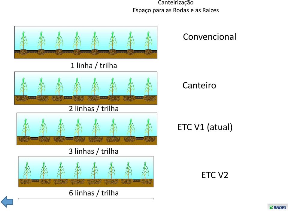 Canteiro 2 linhas / trilha ETC V1