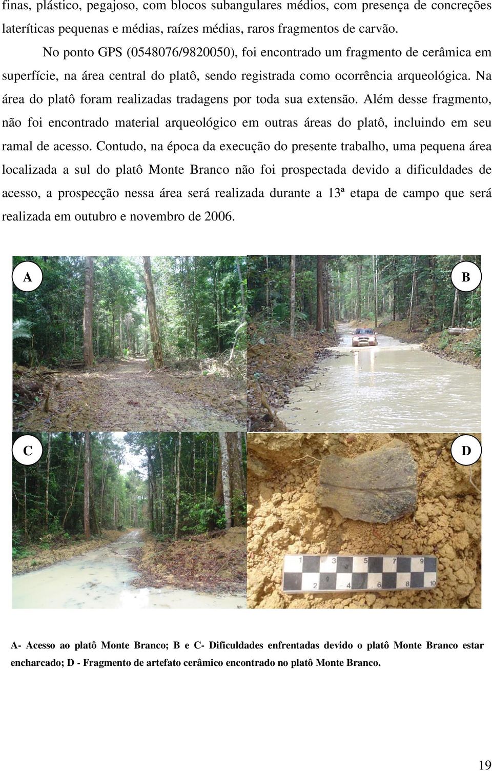 Na área do platô foram realizadas tradagens por toda sua extensão. Além desse fragmento, não foi encontrado material arqueológico em outras áreas do platô, incluindo em seu ramal de acesso.