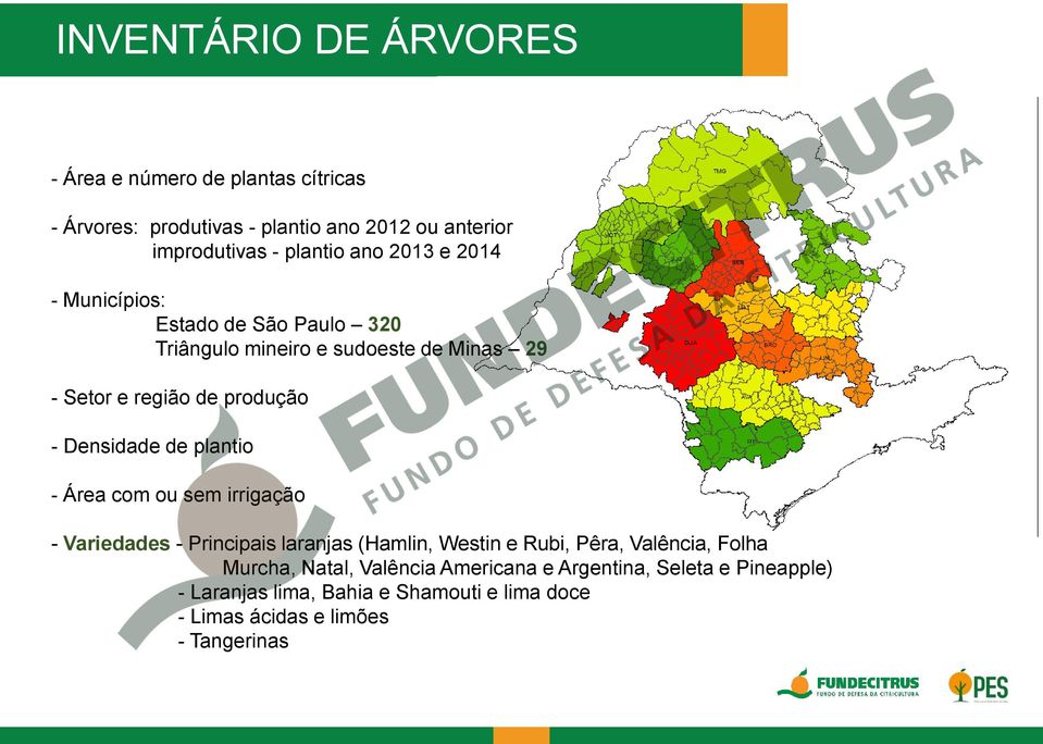 Densidade de plantio - Área com ou sem irrigação - Variedades - Principais laranjas (Hamlin, Westin e Rubi, Pêra, Valência, Folha