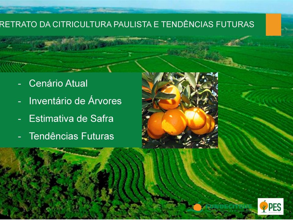 Atual - Inventário de Árvores -