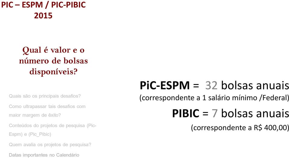 Conteúdos do projetos de pesquisa (Pic- Espm) e (Pic_Pibic) PiC-ESPM = 32 bolsas