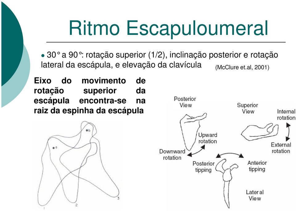 elevação da clavícula (McClure et.