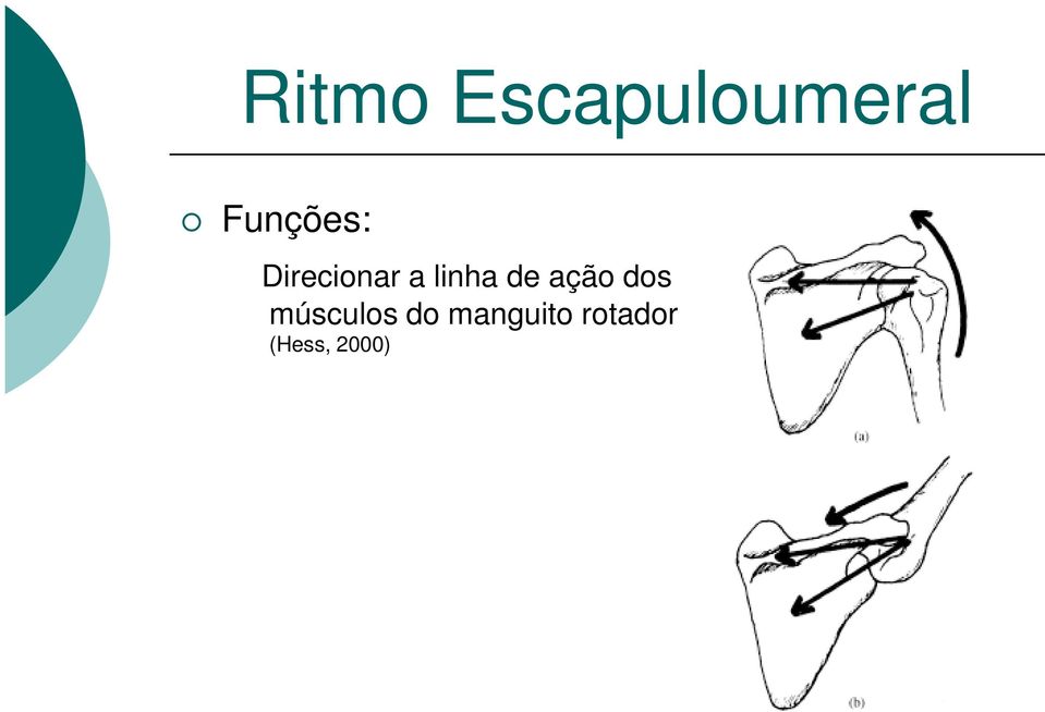 linha de ação dos