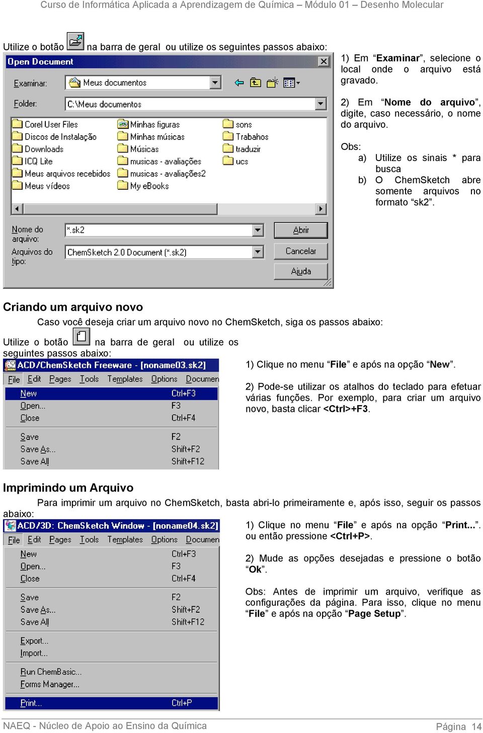 Criando um arquivo novo Caso você deseja criar um arquivo novo no ChemSketch, siga os passos abaixo: Utilize o botão na barra de geral ou utilize os seguintes passos abaixo: 1) Clique no menu File e