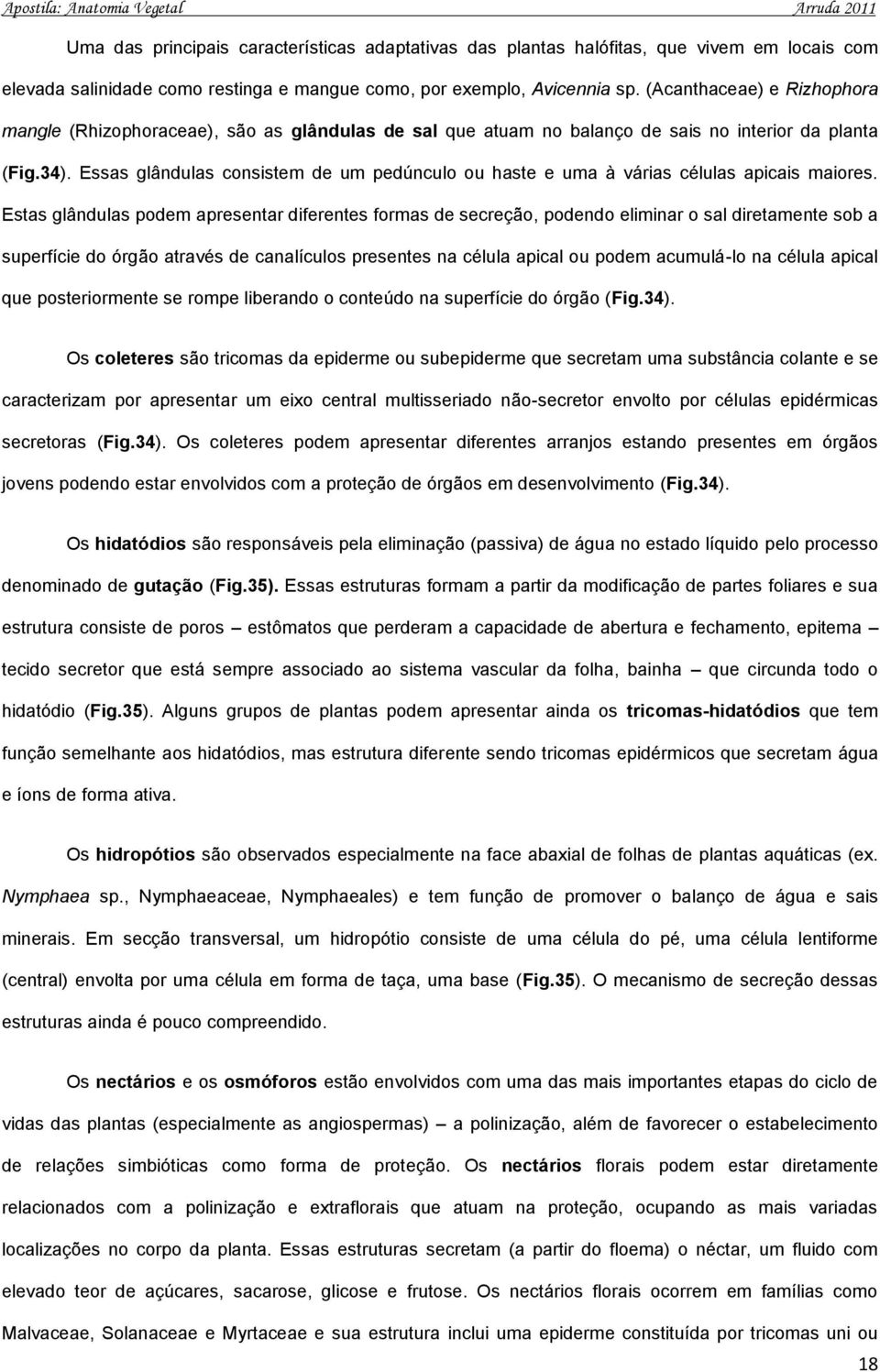 Essas glândulas consistem de um pedúnculo ou haste e uma à várias células apicais maiores.