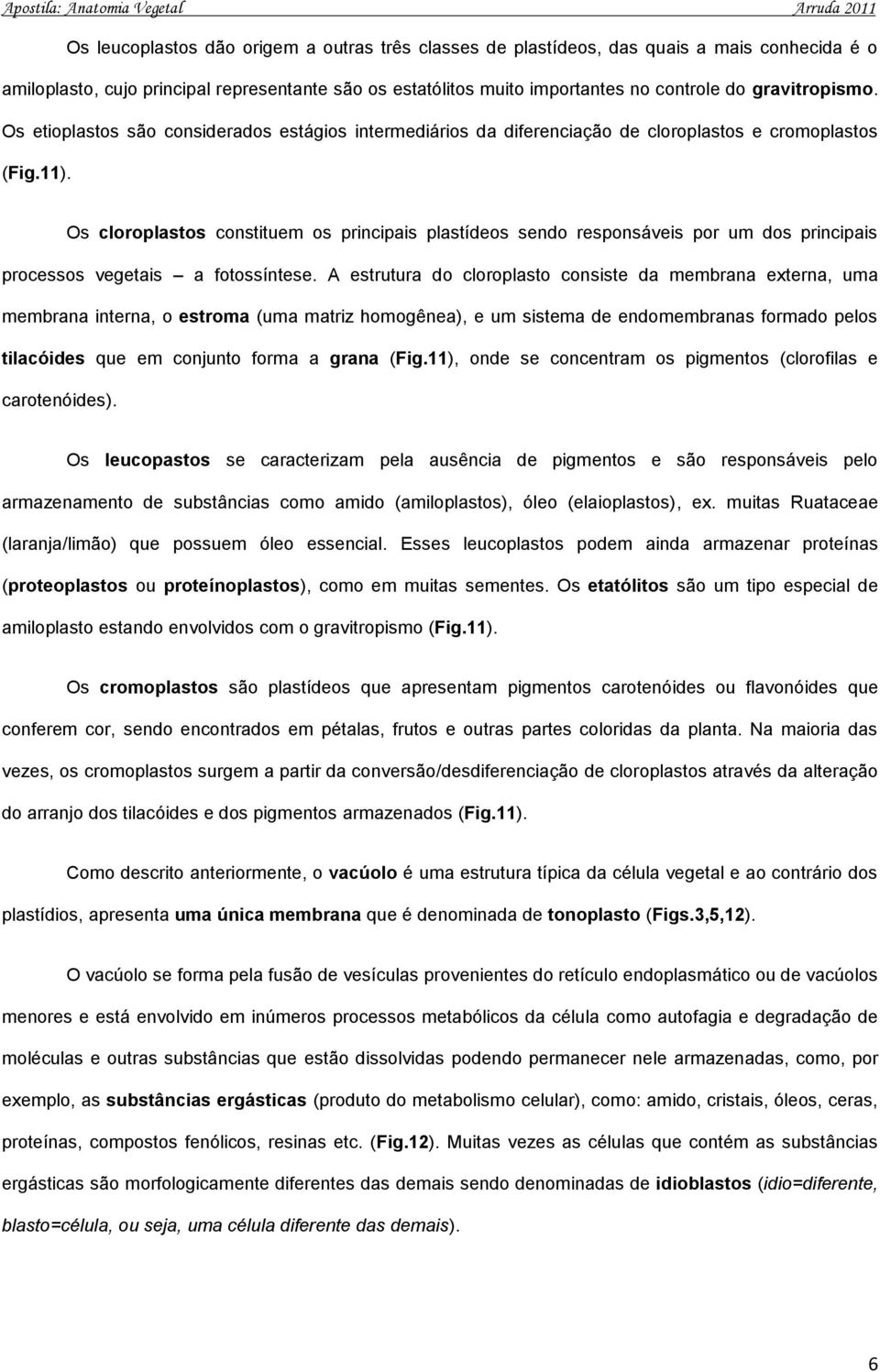 Os cloroplastos constituem os principais plastídeos sendo responsáveis por um dos principais processos vegetais a fotossíntese.