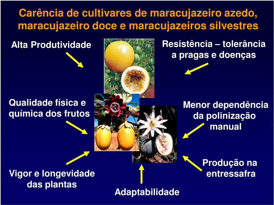 pragas e doenças Qualidade física e química dos frutos Menor dependência da
