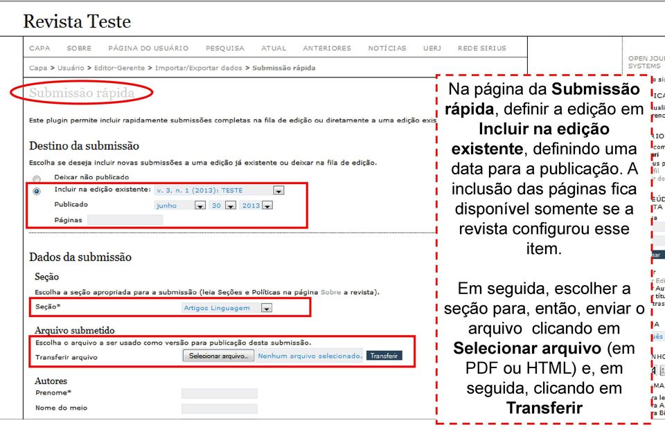 A inclusão das páginas fica disponível somente se a revista configurou esse item.