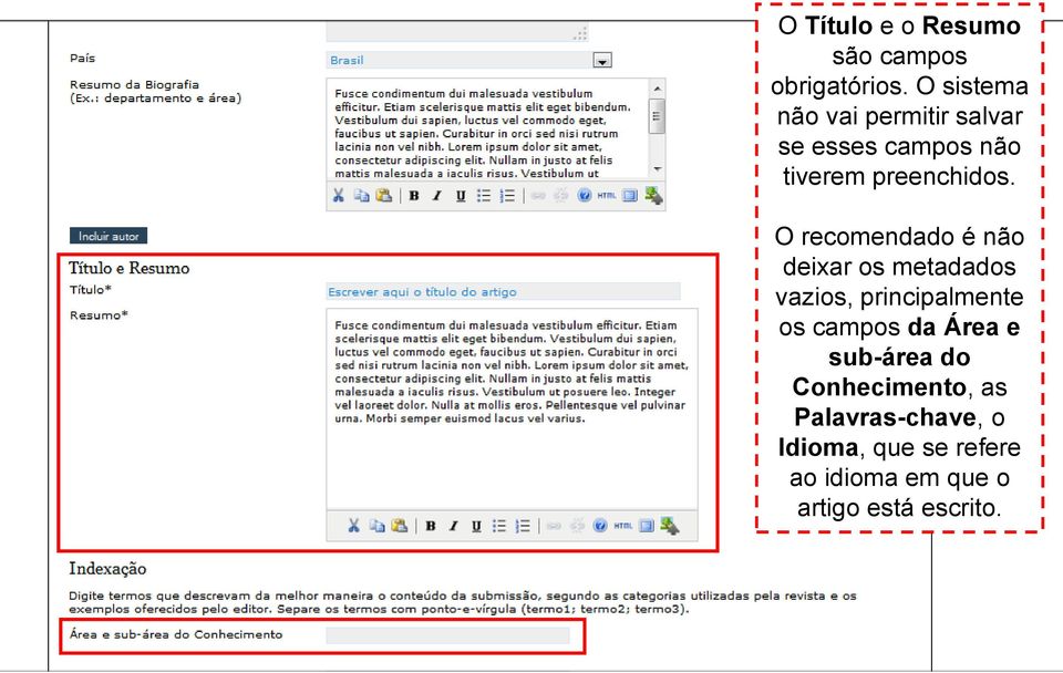 O recomendado é não deixar os metadados vazios, principalmente os campos da