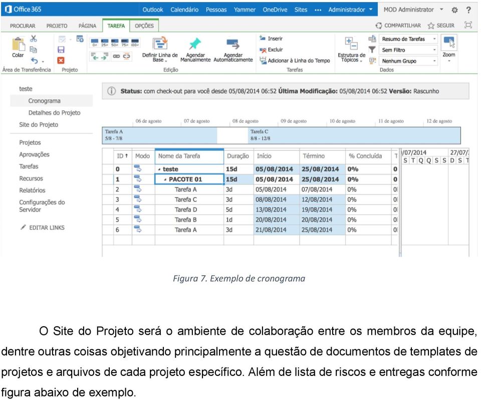 os membros da equipe, dentre outras coisas objetivando principalmente a