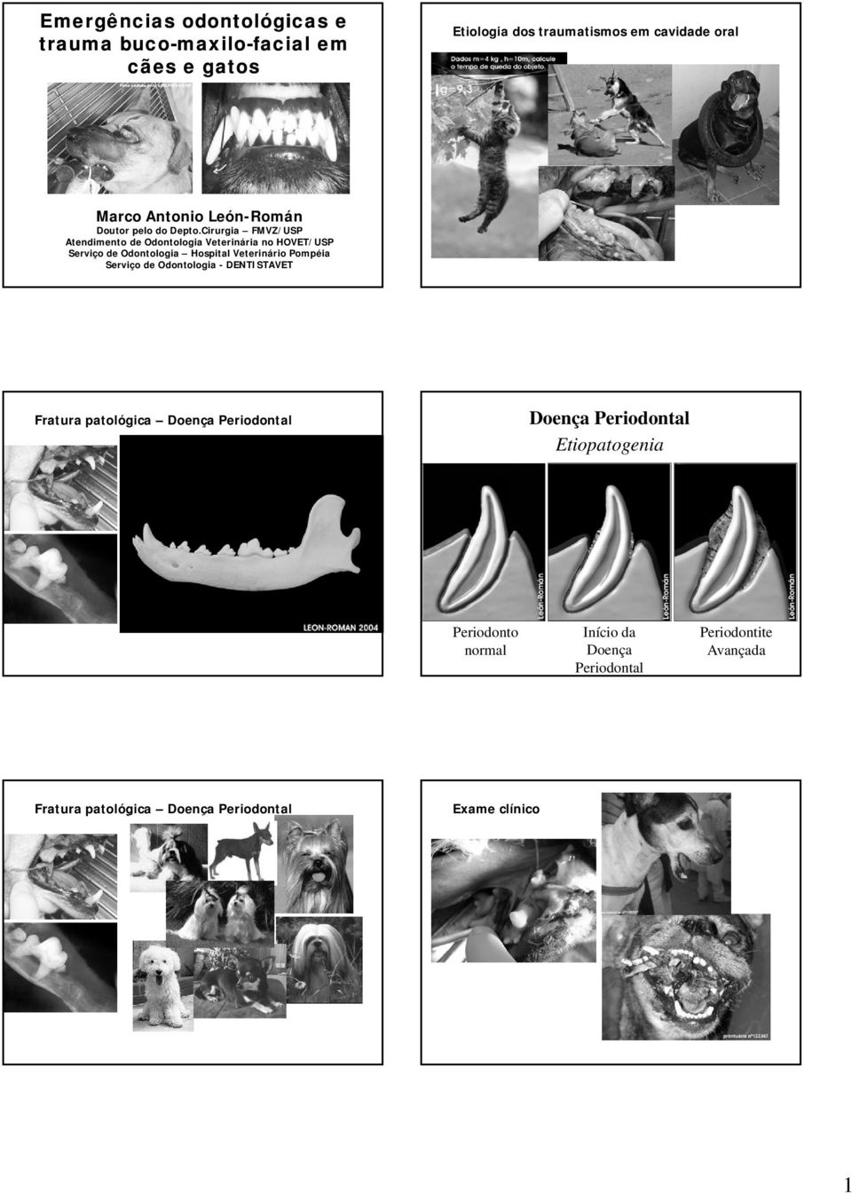 Cirurgia FMVZ/USP Atendimento de Odontologia Veterinária no HOVET/USP Serviço de Odontologia Hospital Veterinário Pompéia