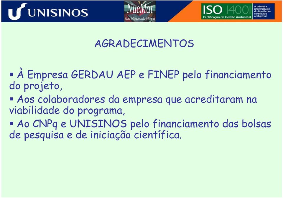 acreditaram na viabilidade do programa, Ao CNPq e UNISINOS