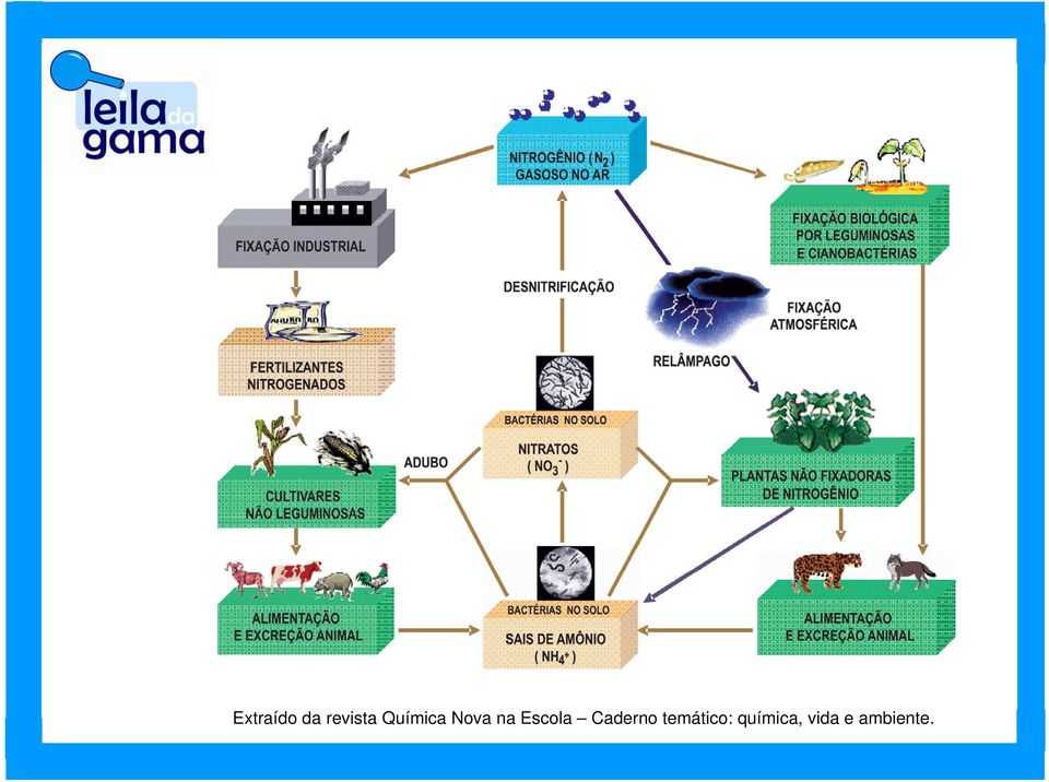 Escola Caderno