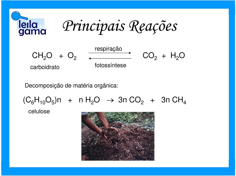 fotossíntese Decomposição de matéria