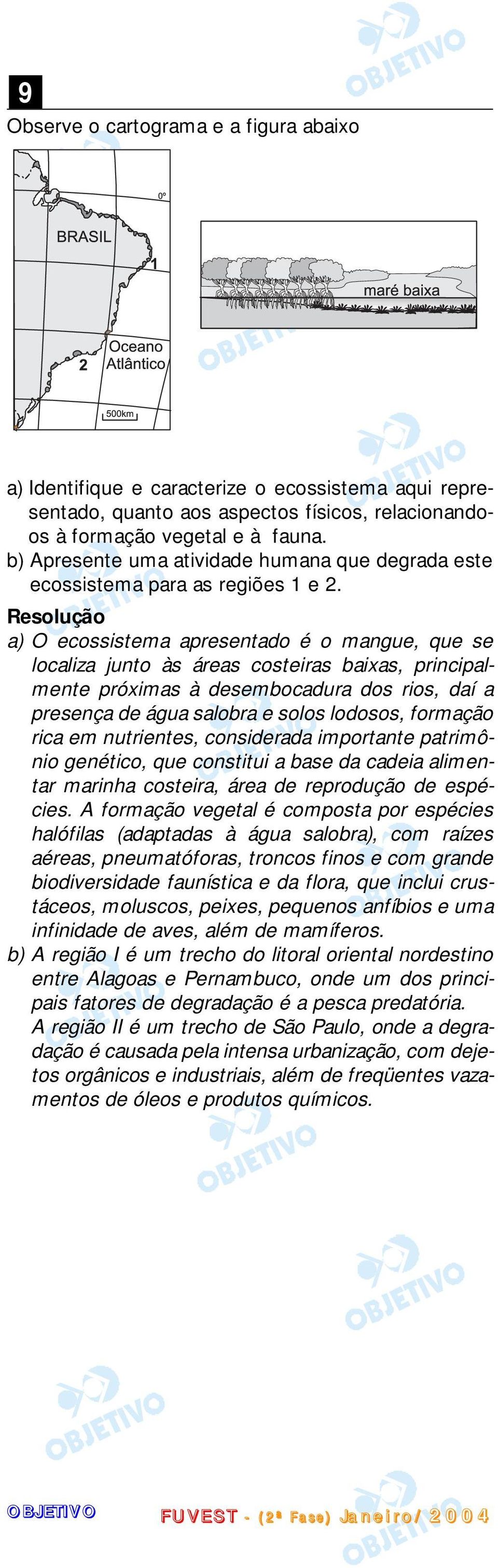 a) O ecossistema apresentado é o mangue, que se localiza junto às áreas costeiras baixas, principalmente próximas à desembocadura dos rios, daí a presença de água salobra e solos lodosos, formação