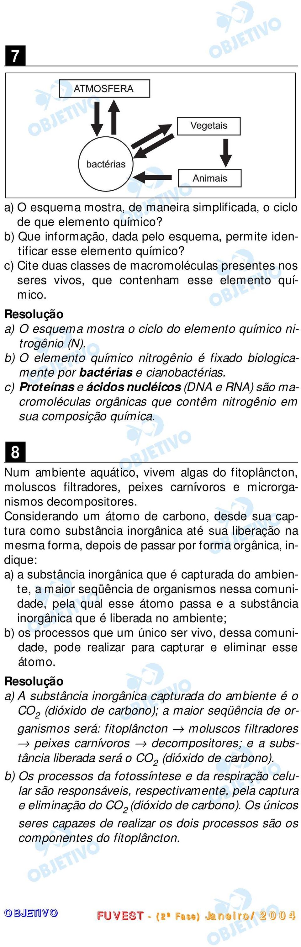 b) O elemento químico nitrogênio é fixado biologicamente por bactérias e cianobactérias.