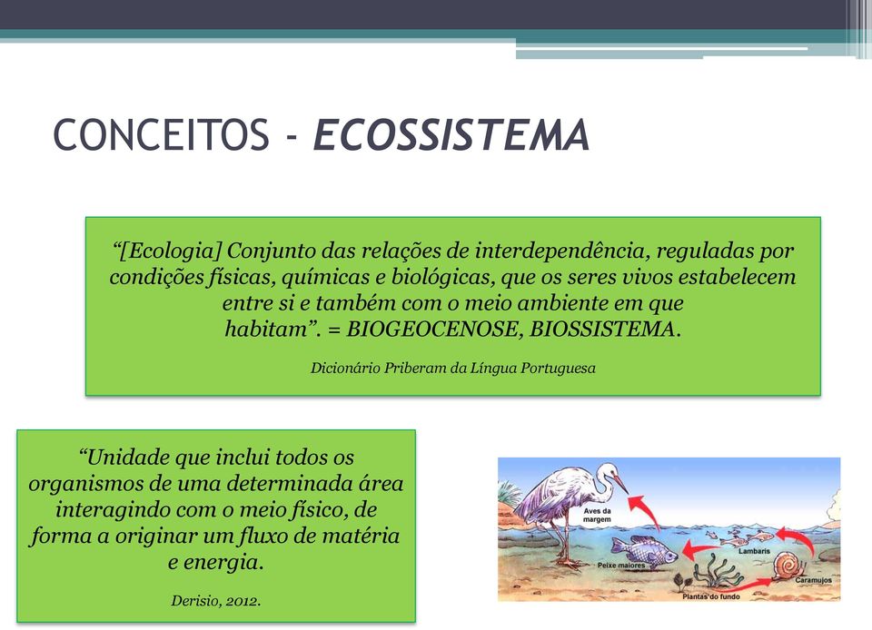 = BIOGEOCENOSE, BIOSSISTEMA.