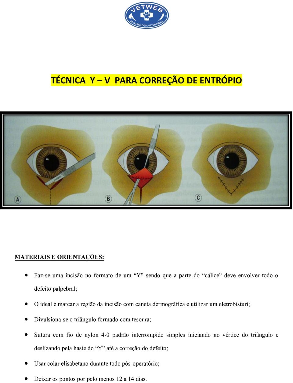 triângulo formado com tesoura; Sutura com fio de nylon 4-0 padrão interrompido simples iniciando no vértice do triângulo e