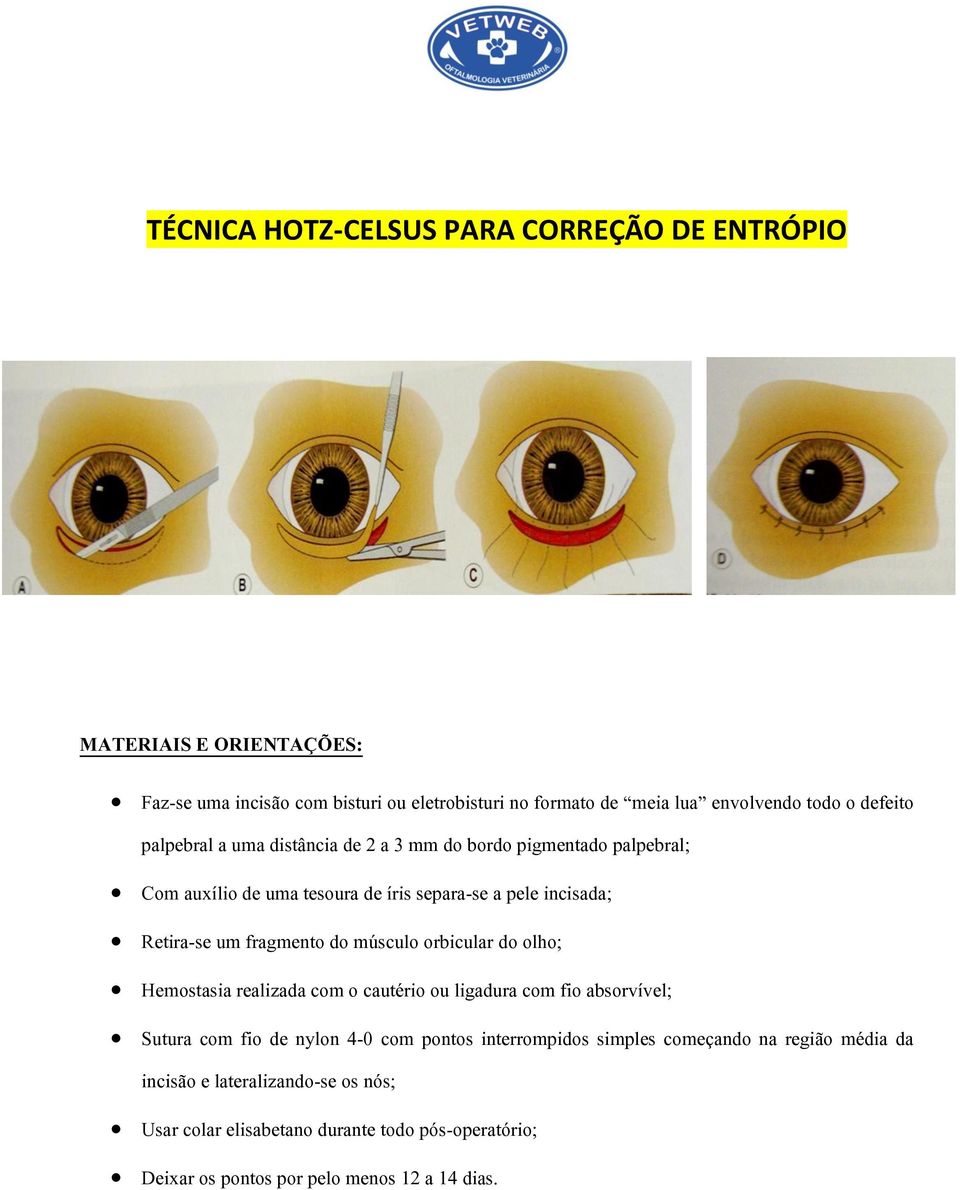 orbicular do olho; Hemostasia realizada com o cautério ou ligadura com fio absorvível; Sutura com fio de nylon 4-0 com pontos interrompidos simples