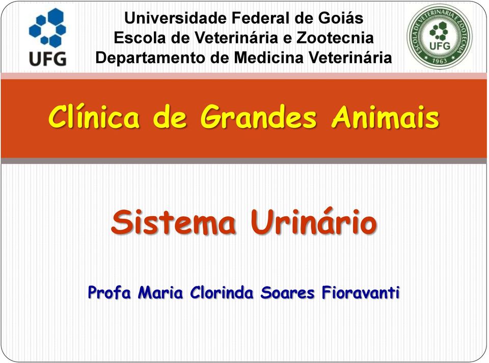 Medicina Veterinária Clínica de Grandes