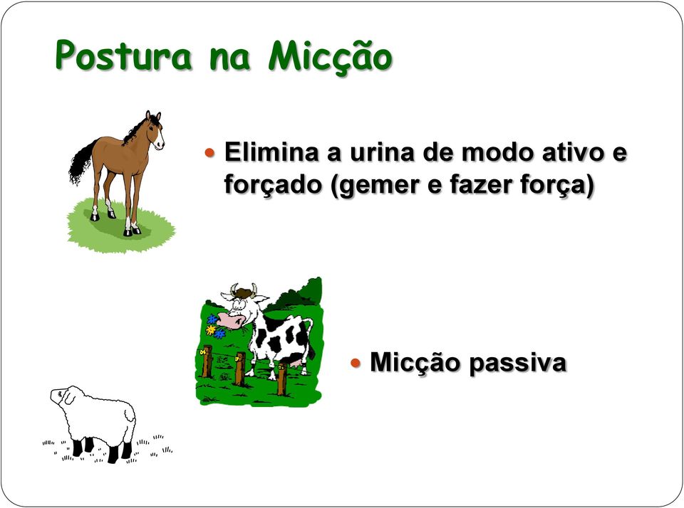 ativo e forçado (gemer