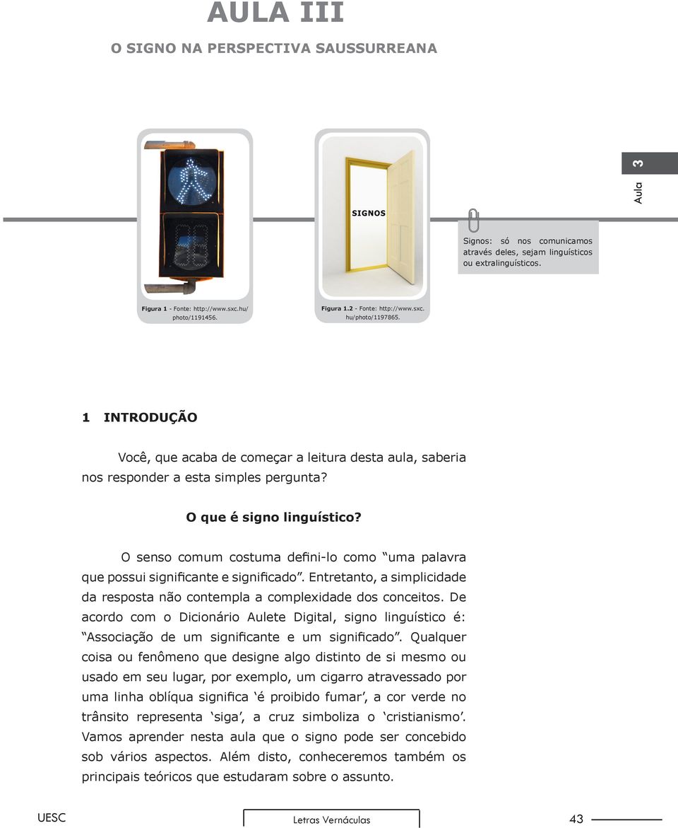 O senso comum costuma defini-lo como uma palavra que possui significante e significado. Entretanto, a simplicidade da resposta não contempla a complexidade dos conceitos.