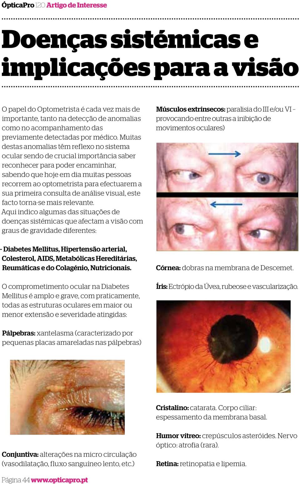 efectuarem a sua primeira consulta de análise visual, este facto torna-se mais relevante.