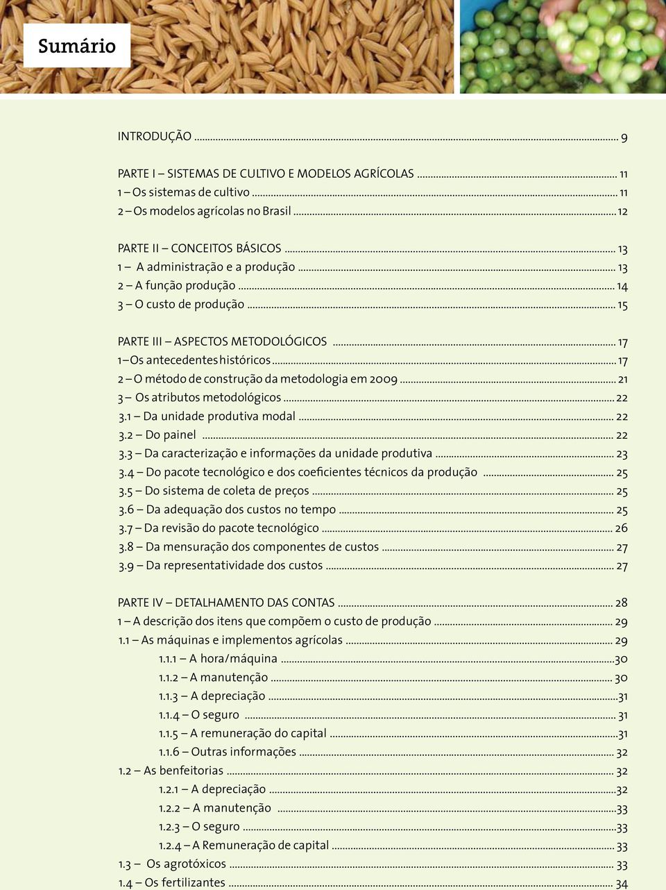 .. 17 2 O método de construção da metodologia em 2009... 21 3 Os atributos metodológicos... 22 3.1 Da unidade produtiva modal... 22 3.2 Do painel... 22 3.3 Da caracterização e informações da unidade produtiva.