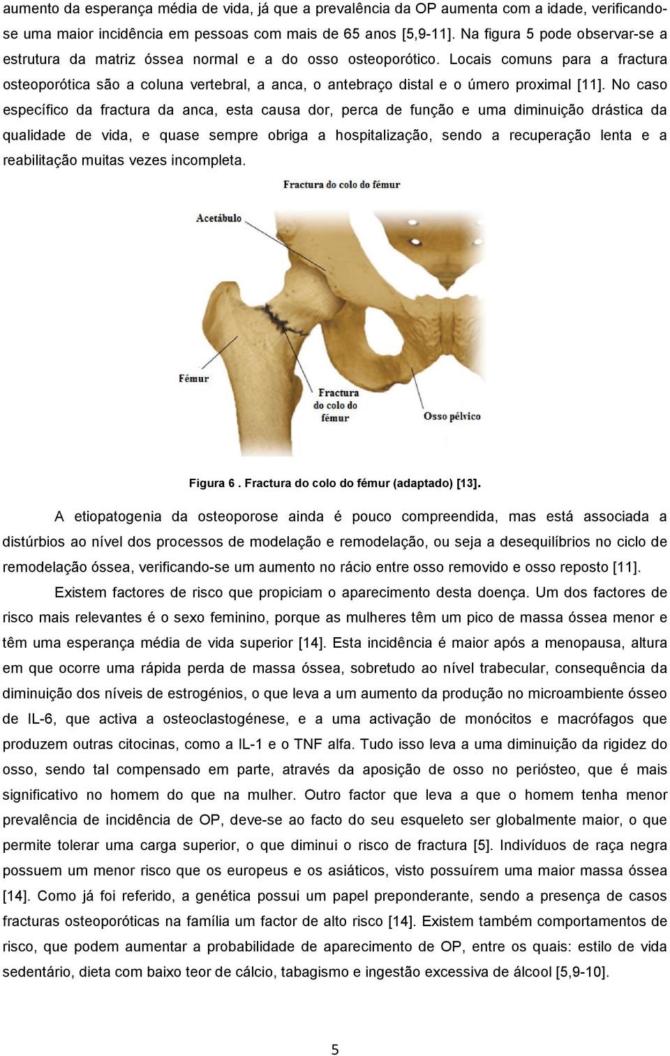 Locais comuns para a fractura osteoporótica são a coluna vertebral, a anca, o antebraço distal e o úmero proximal [11].