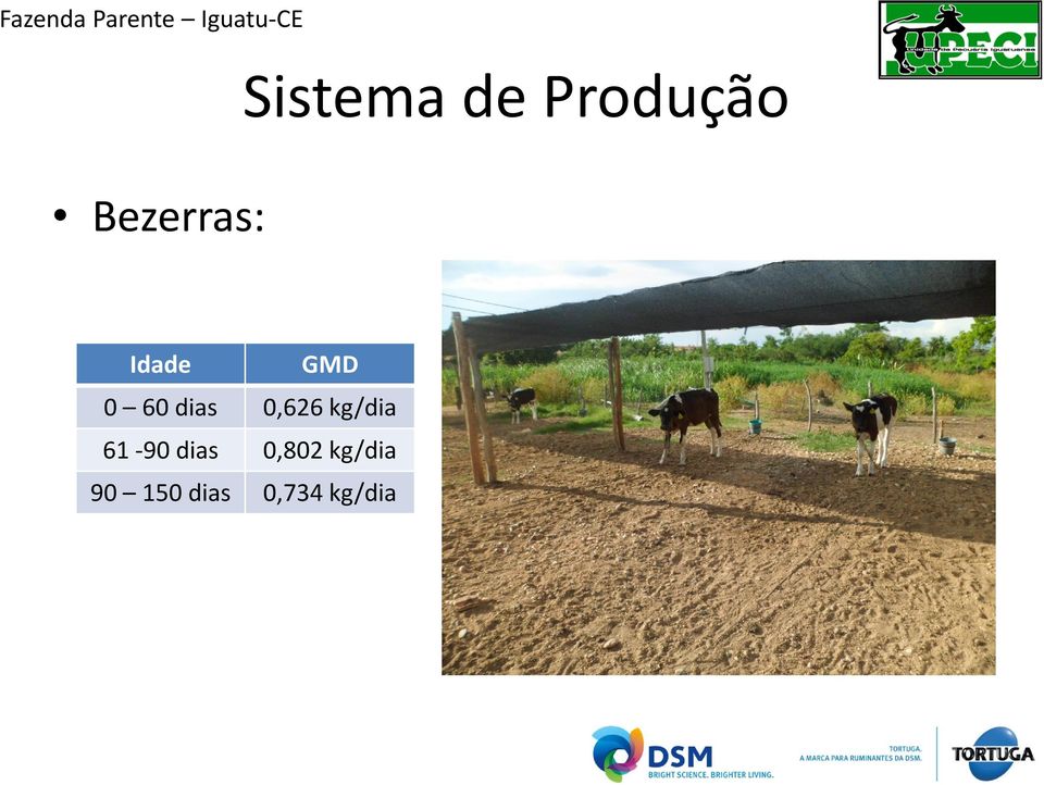 dias 0,626 kg/dia 61-90