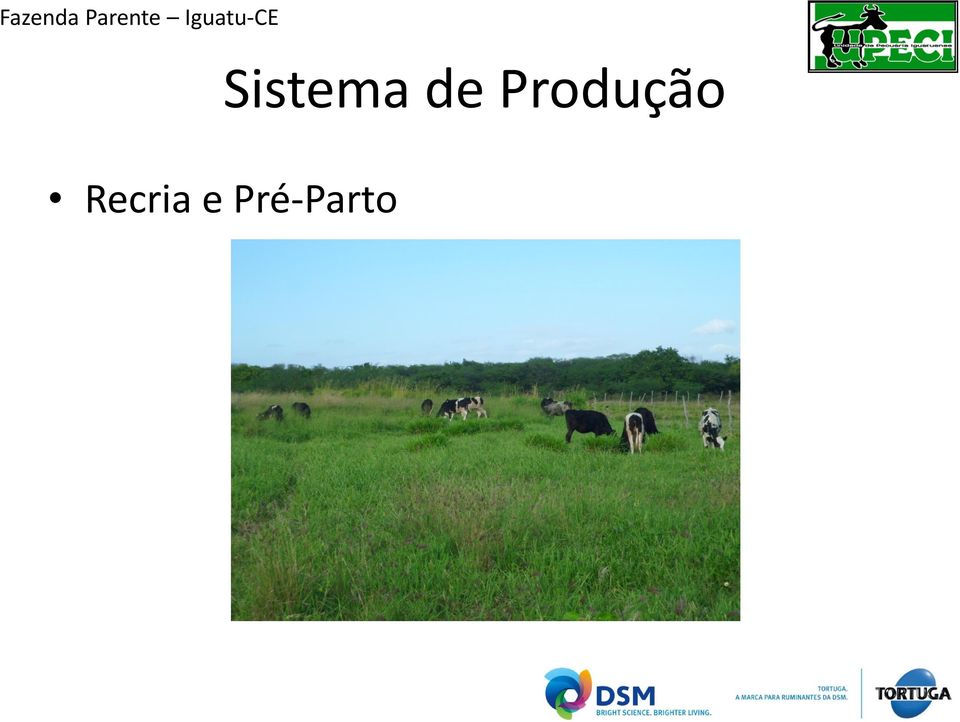 Produção