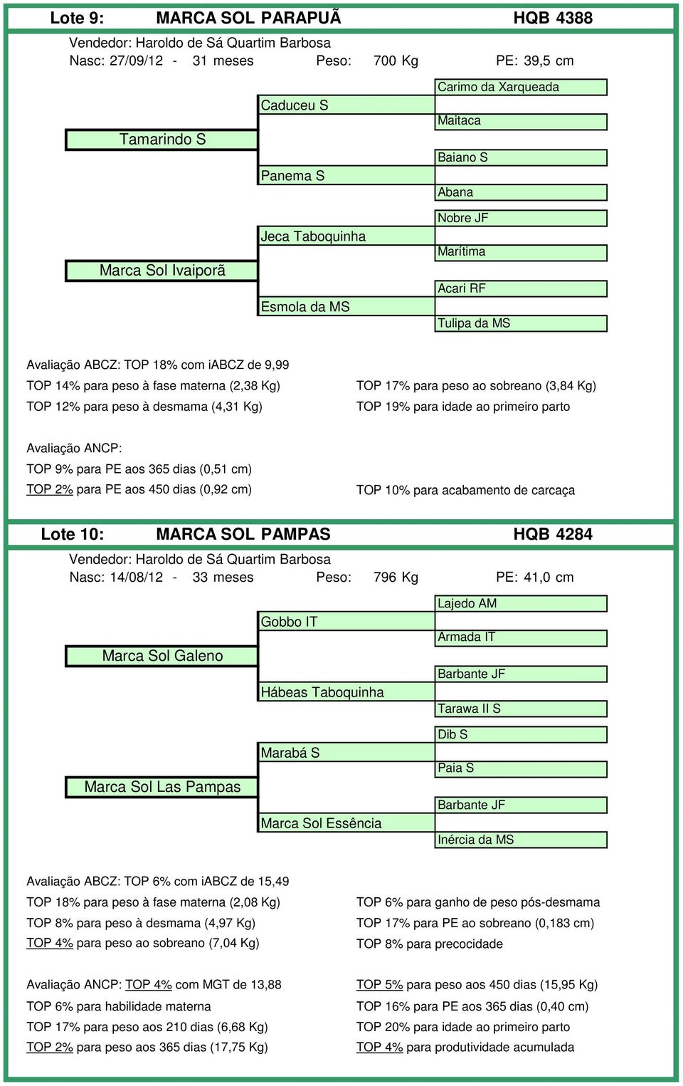 19% para idade ao primeiro parto TOP 9% para PE aos 365 dias (0,51 cm) TOP 2% para PE aos 450 dias (0,92 cm) TOP 10% para acabamento de carcaça Lote 10: MARCA SOL PAMPAS HQB 4284 Nasc: 14/08/12-33