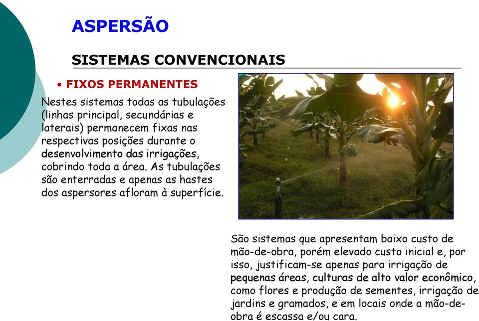 As tubulações são enterradas e apenas as hastes dos aspersores afloram à superfície.