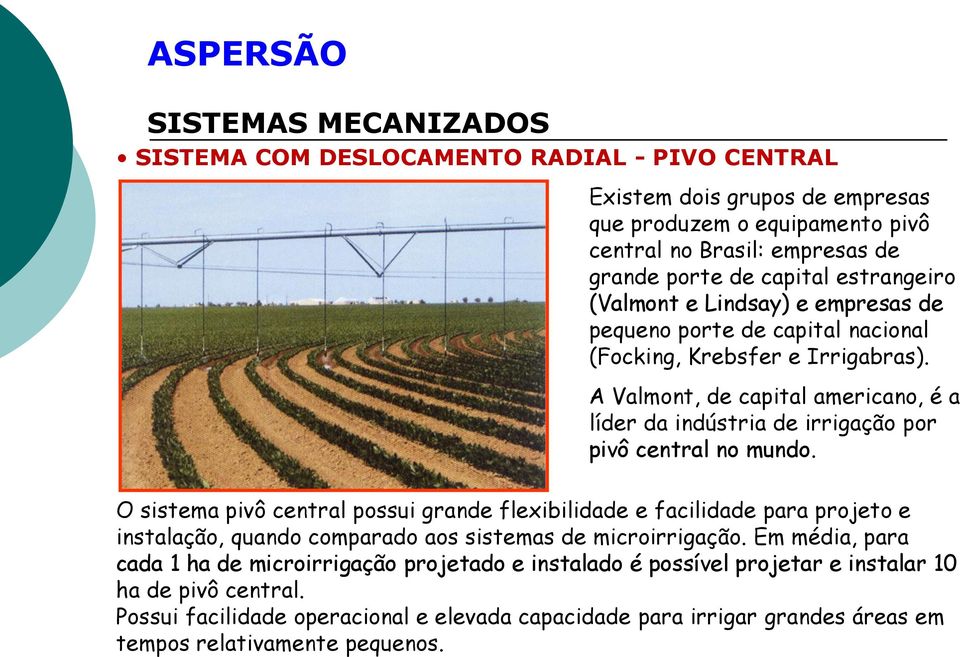 A Valmont, de capital americano, é a líder da indústria de irrigação por pivô central no mundo.