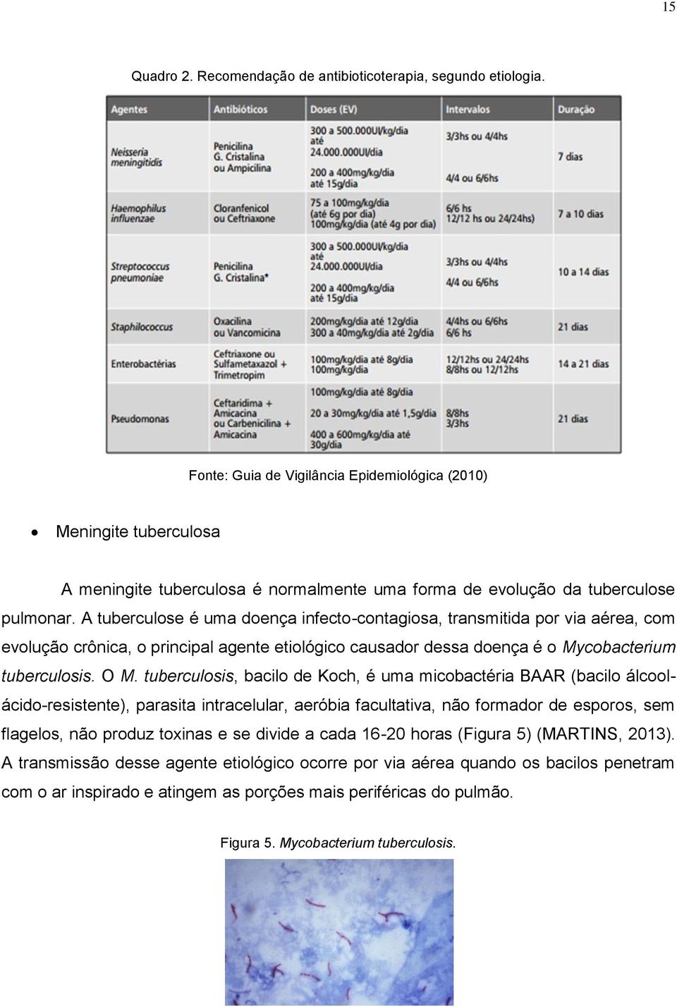 A tuberculose é uma doença infecto-contagiosa, transmitida por via aérea, com evolução crônica, o principal agente etiológico causador dessa doença é o Mycobacterium tuberculosis. O M.