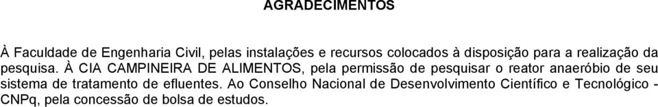 À CIA CAMPINEIRA DE ALIMENTOS, pela permissão de pesquisar o reator anaeróbio de seu