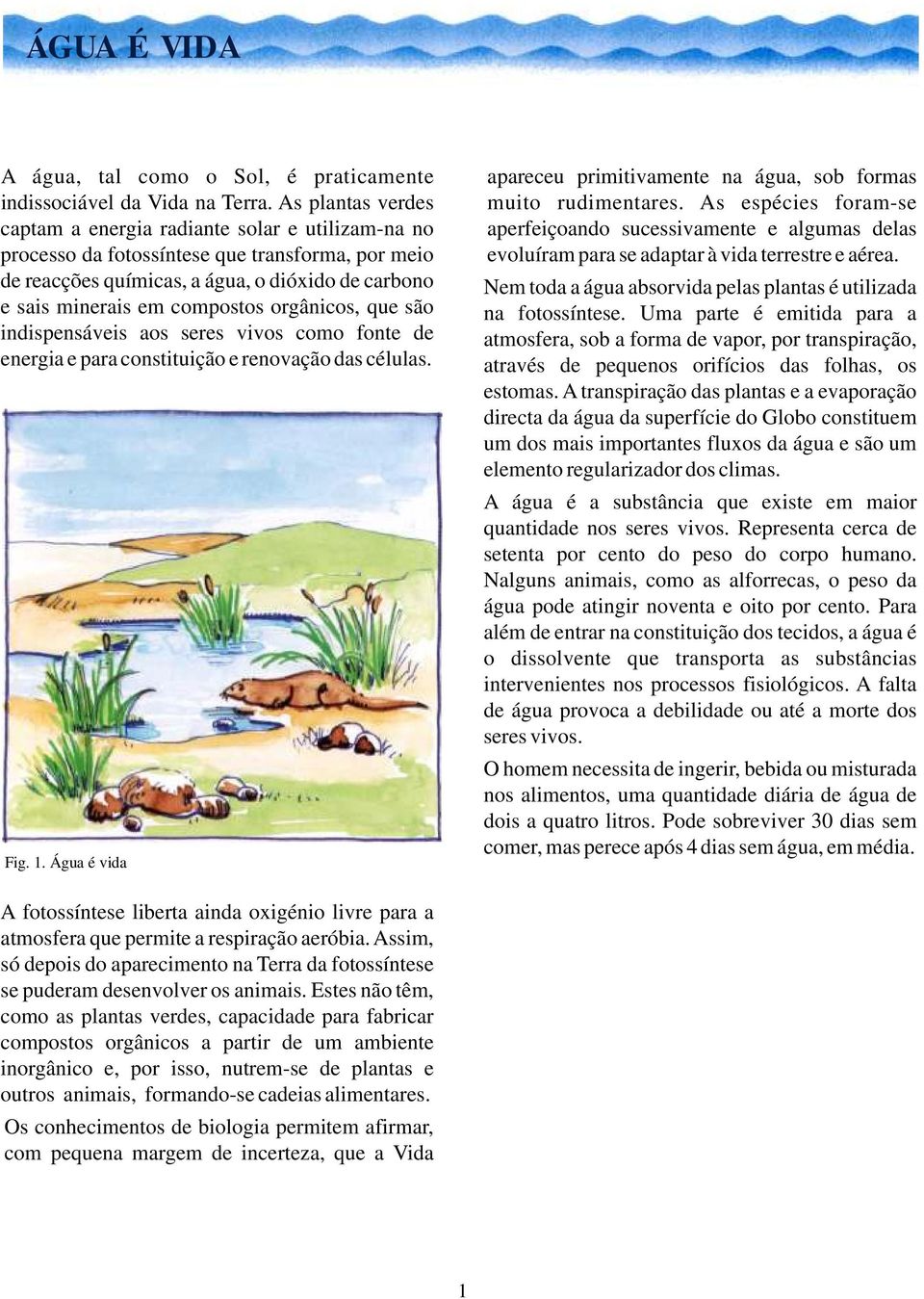 orgânicos, que são indispensáveis aos seres vivos como fonte de energia e para constituição e renovação das células. Fig. 1. Água é vida apareceu primitivamente na água, sob formas muito rudimentares.