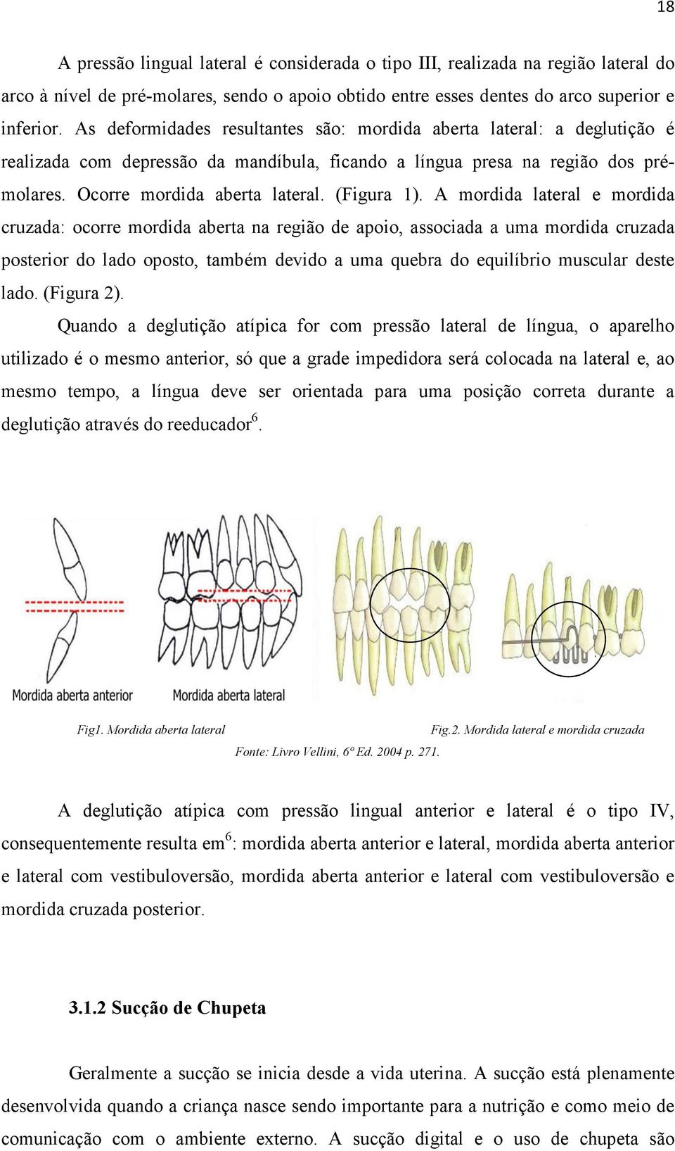 (Figura 1).