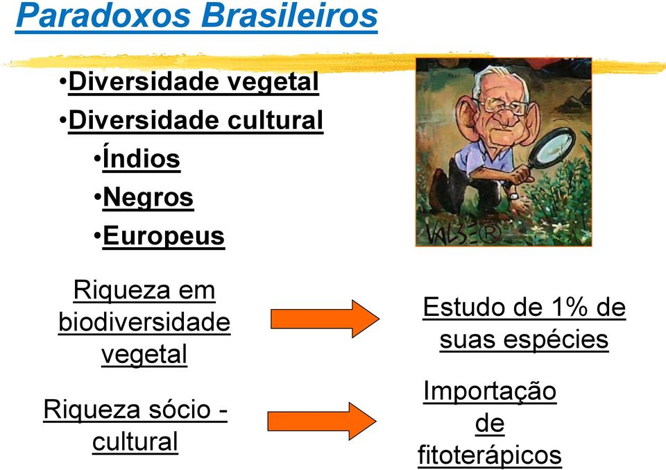 Riqueza em biodiversidade vegetal Riqueza sócio -