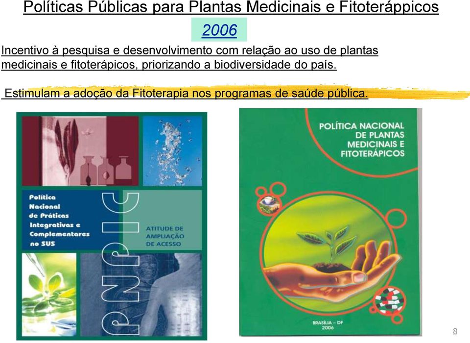 plantas medicinais e fitoterápicos, priorizando a biodiversidade