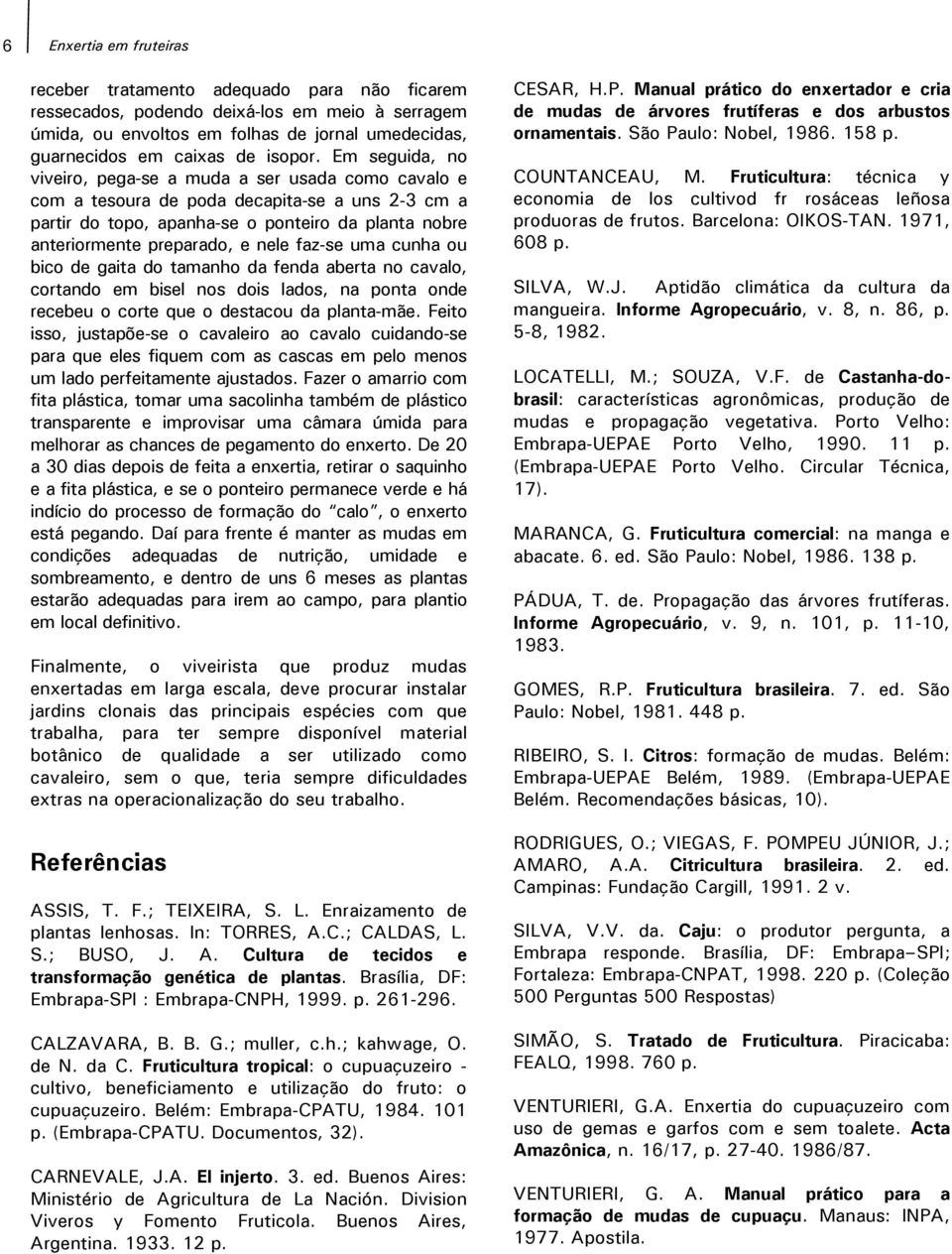 Em seguida, no viveiro, pega-se a muda a ser usada como cavalo e com a tesoura de poda decapita-se a uns 2-3 cm a partir do topo, apanha-se o ponteiro da planta nobre anteriormente preparado, e nele